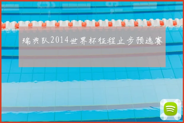 瑞典队2014世界杯征程止步预选赛