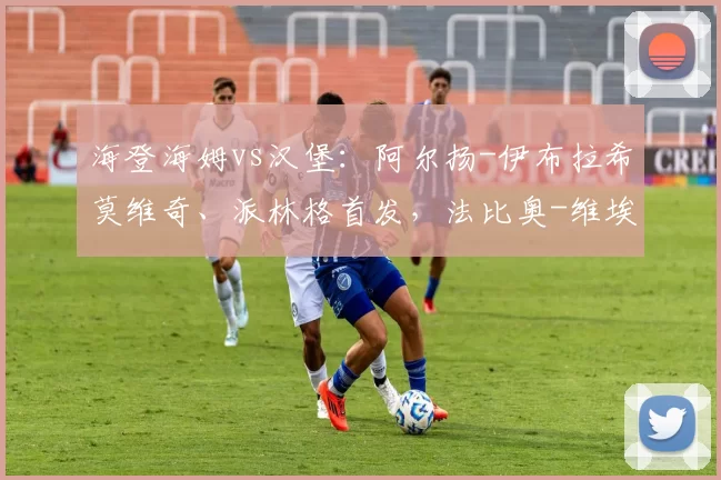 海登海姆vs汉堡：阿尔扬-伊布拉希莫维奇、派林格首发，法比奥-维埃拉、洛孔加出战